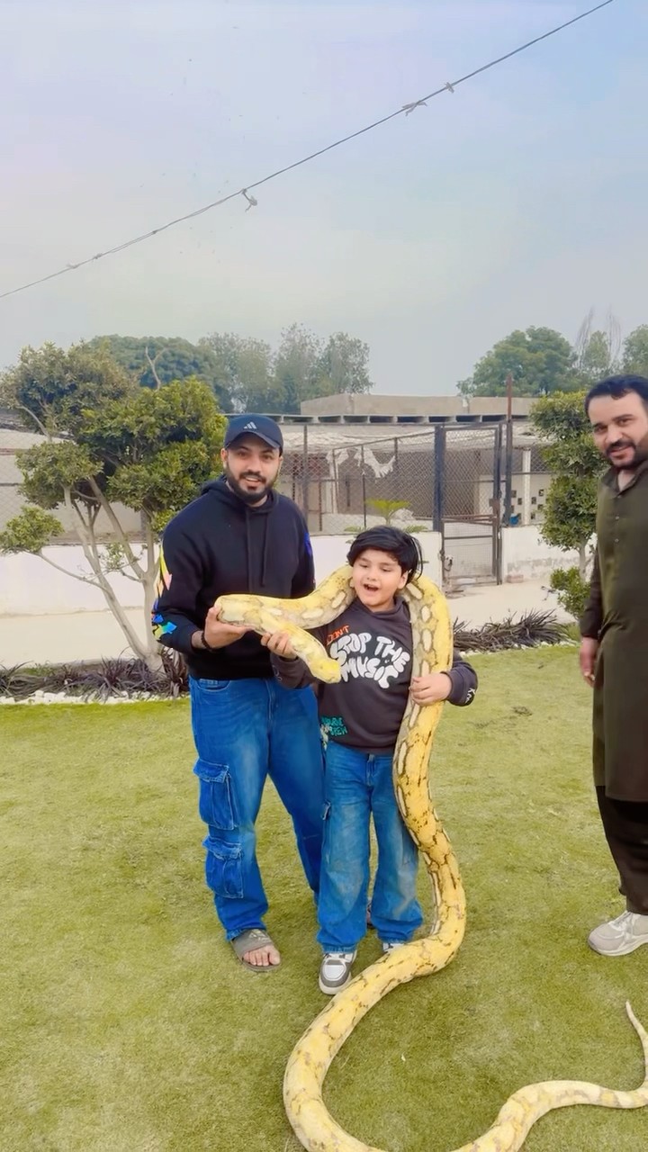 Largest snake ?? || #viralvideo #trending #foryou